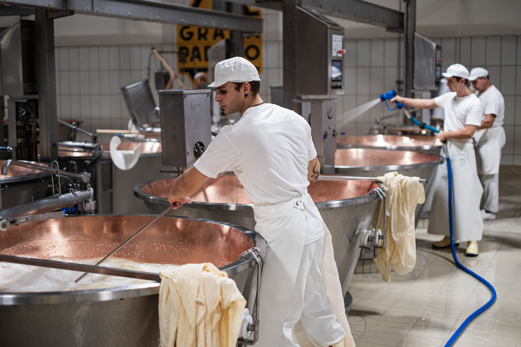 Foto_finali_Mostra-10