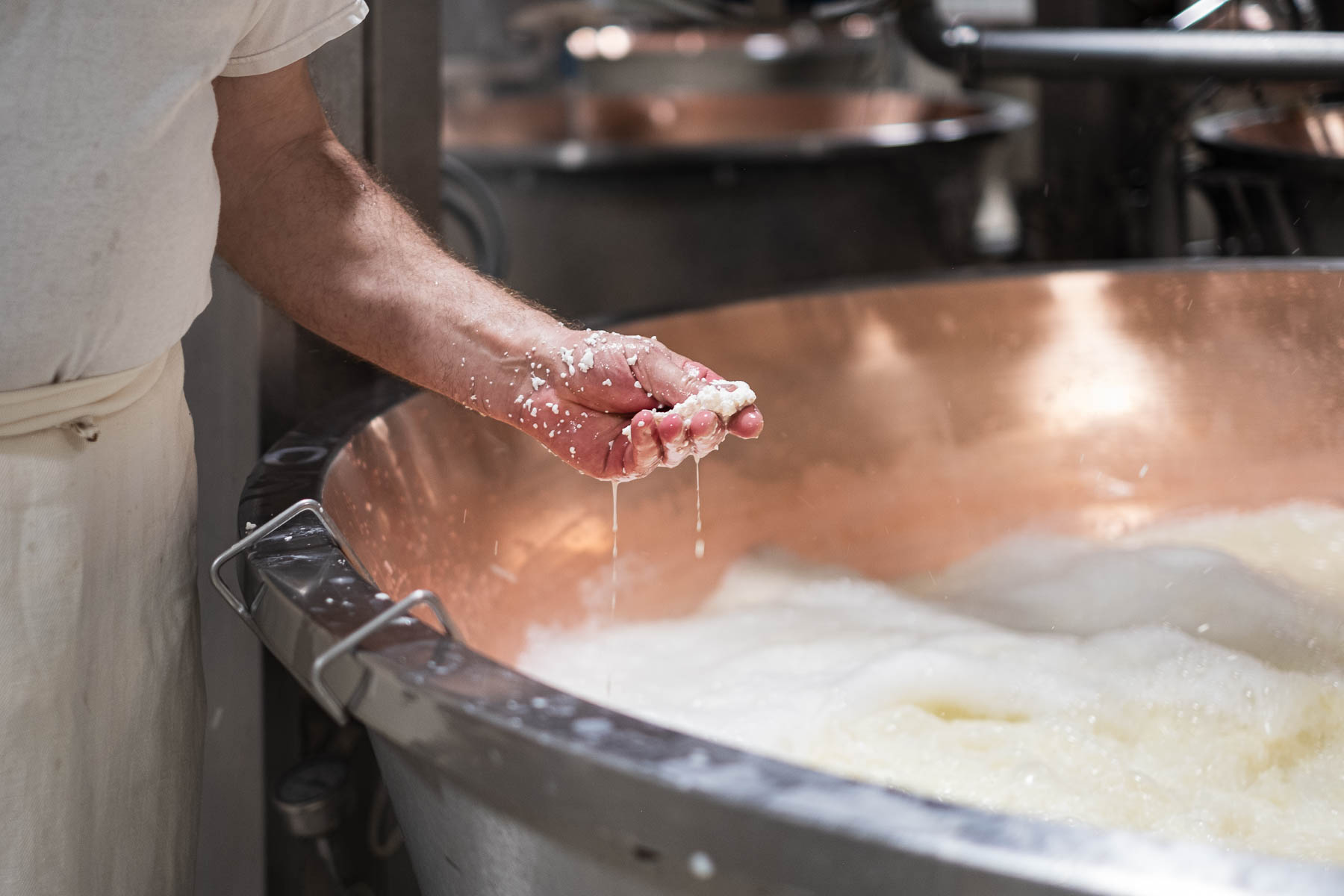 Foto_finali_Mostra-11