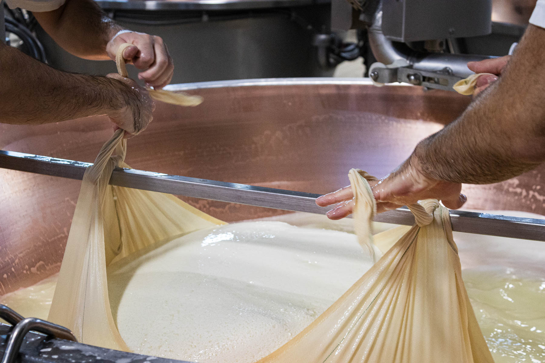 Foto_finali_Mostra-12