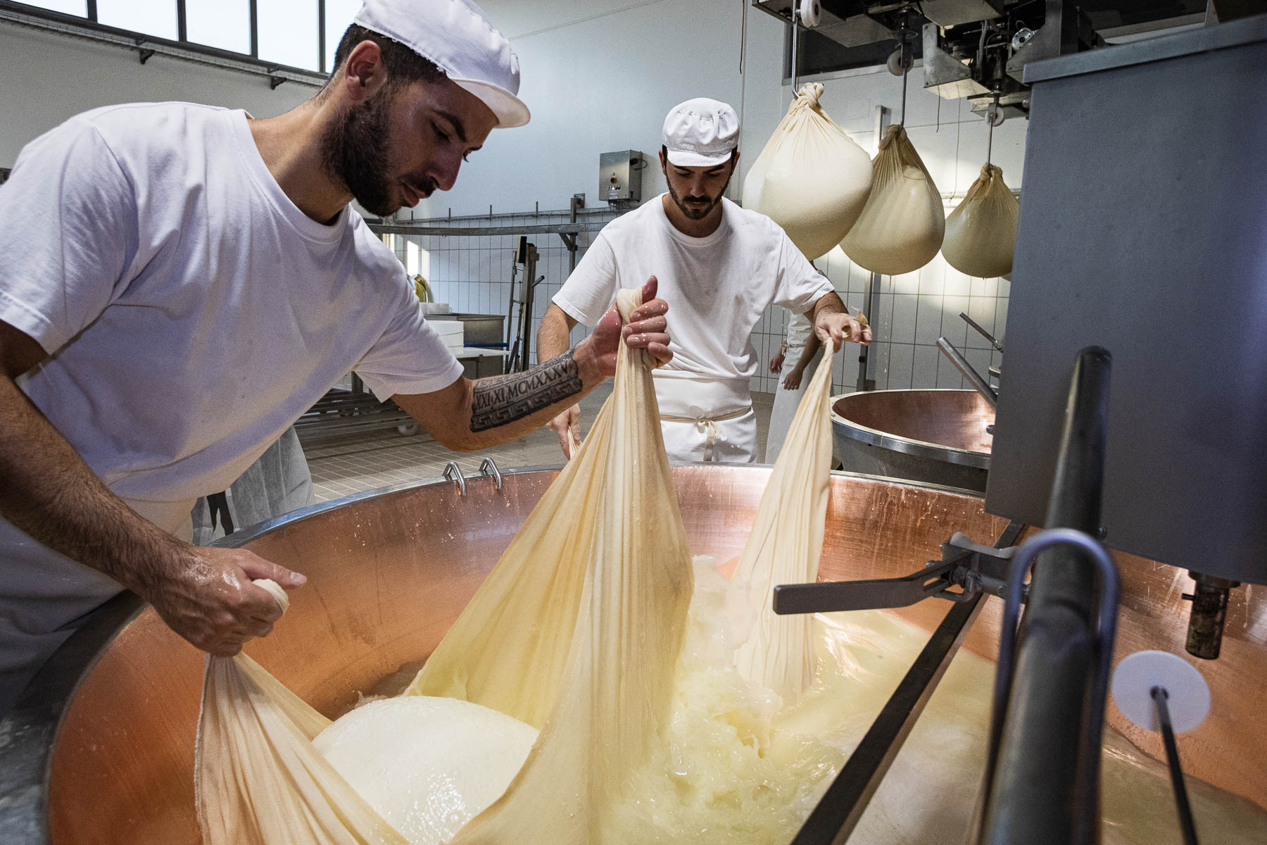 Foto_finali_Mostra-14