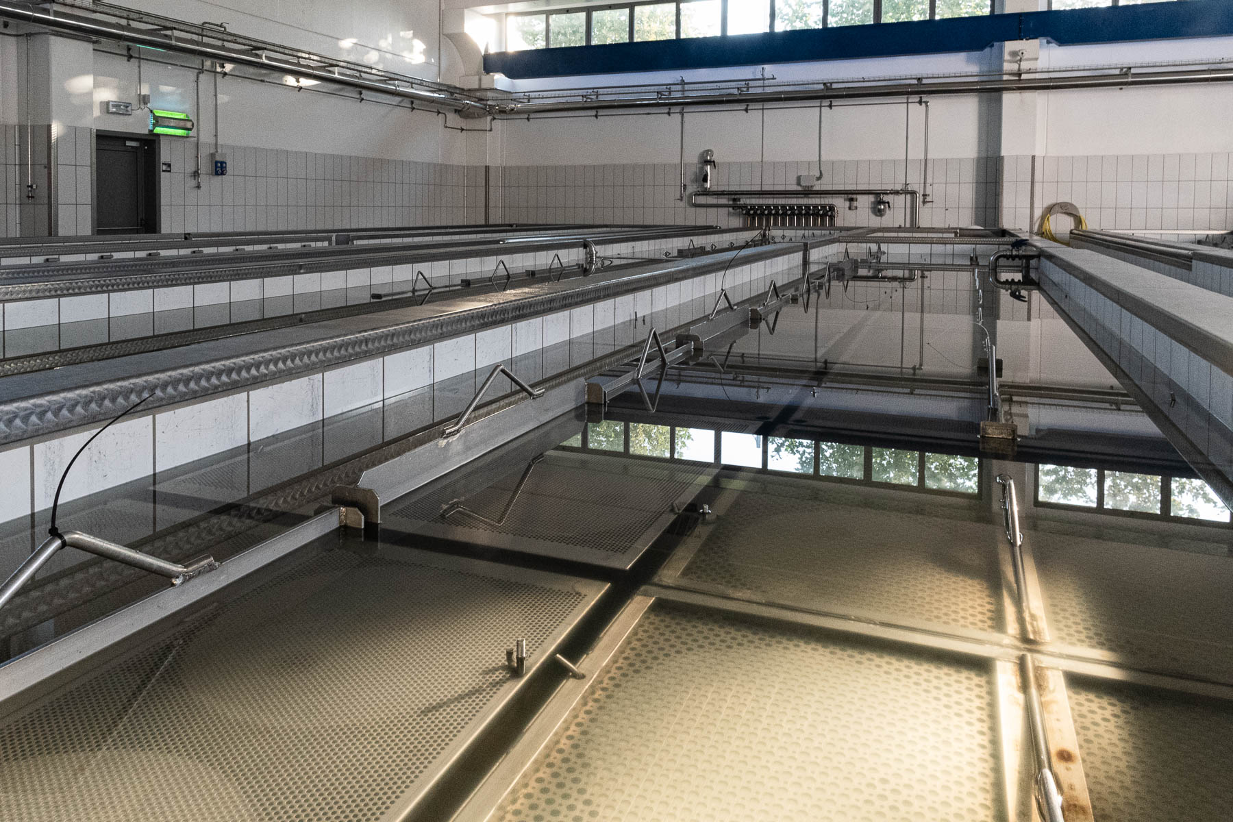 Foto_finali_Mostra-18