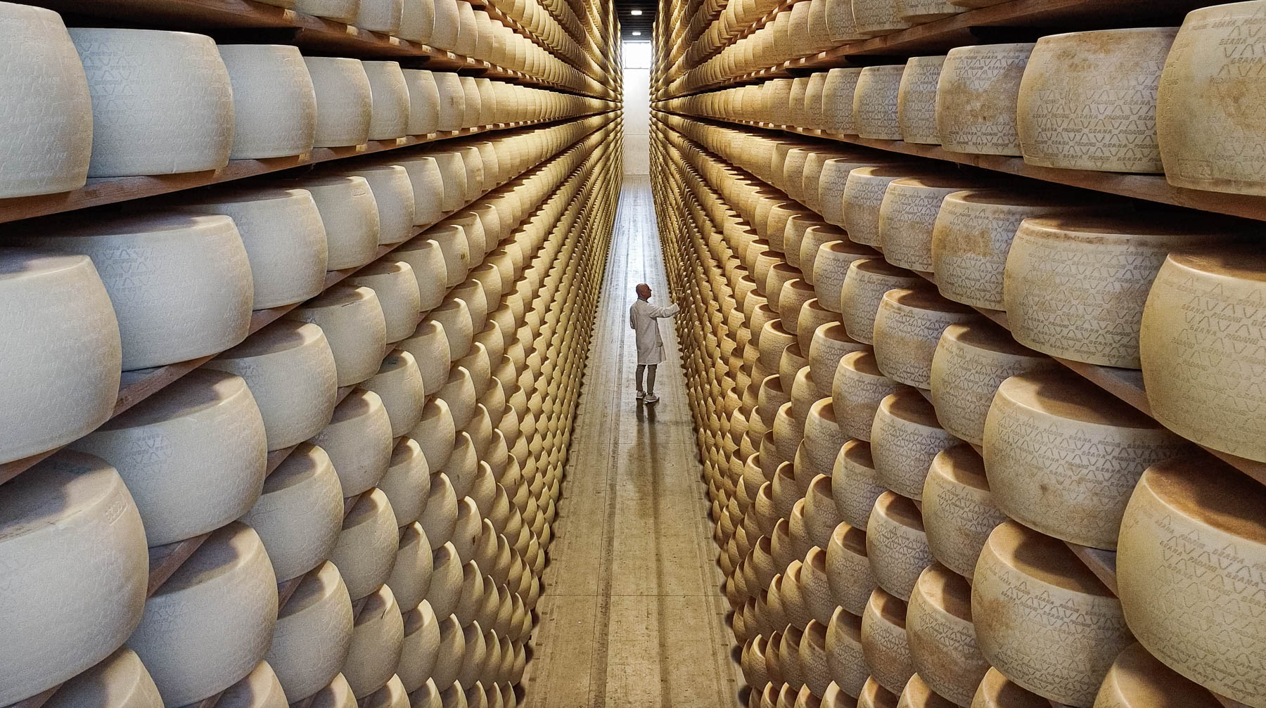 Foto_finali_Mostra-19