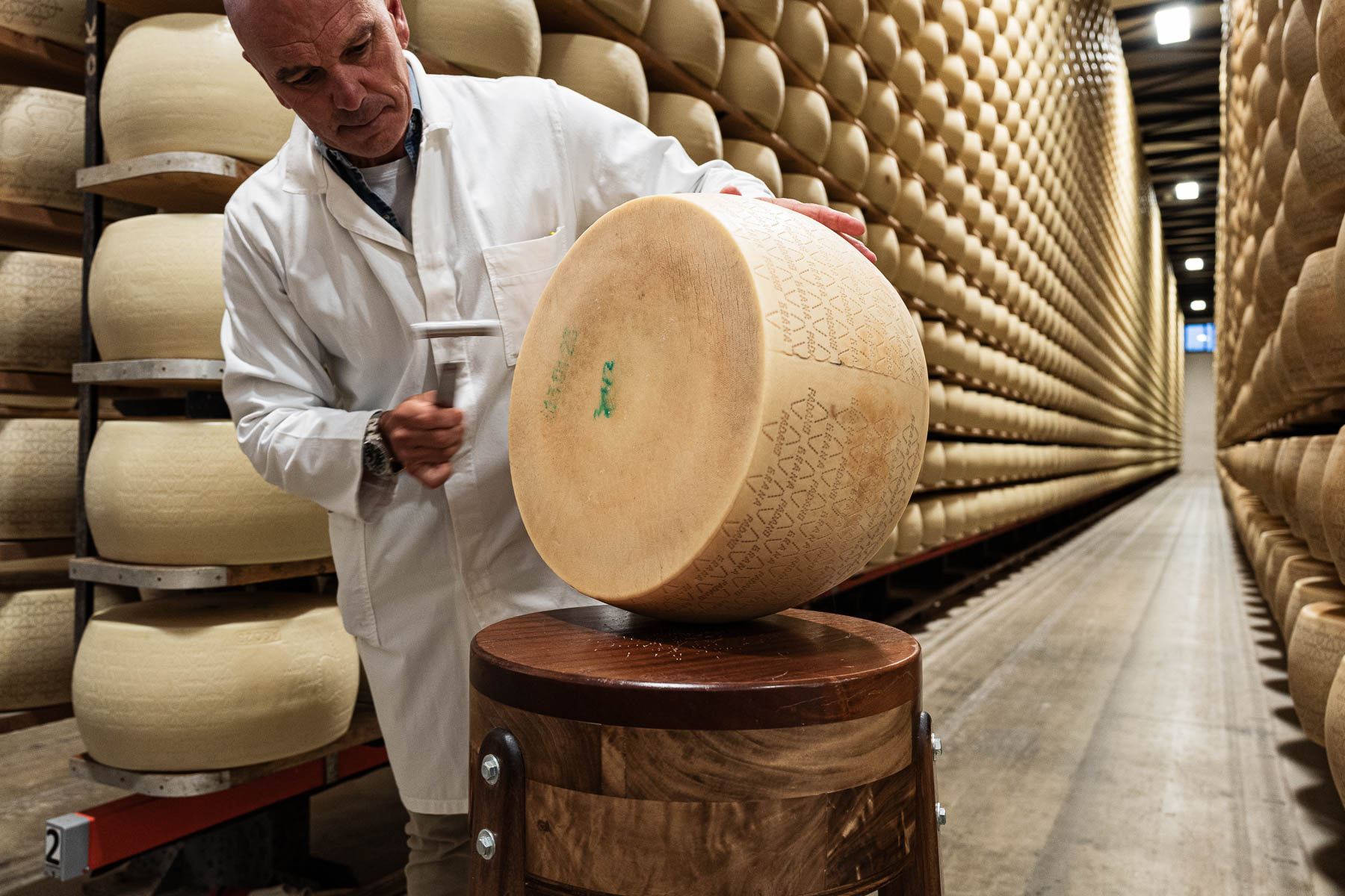 Foto_finali_Mostra-20