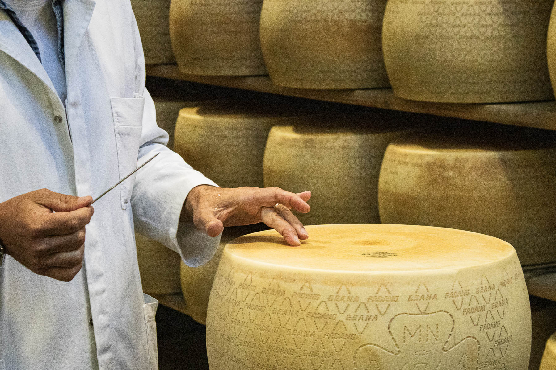 Foto_finali_Mostra-21