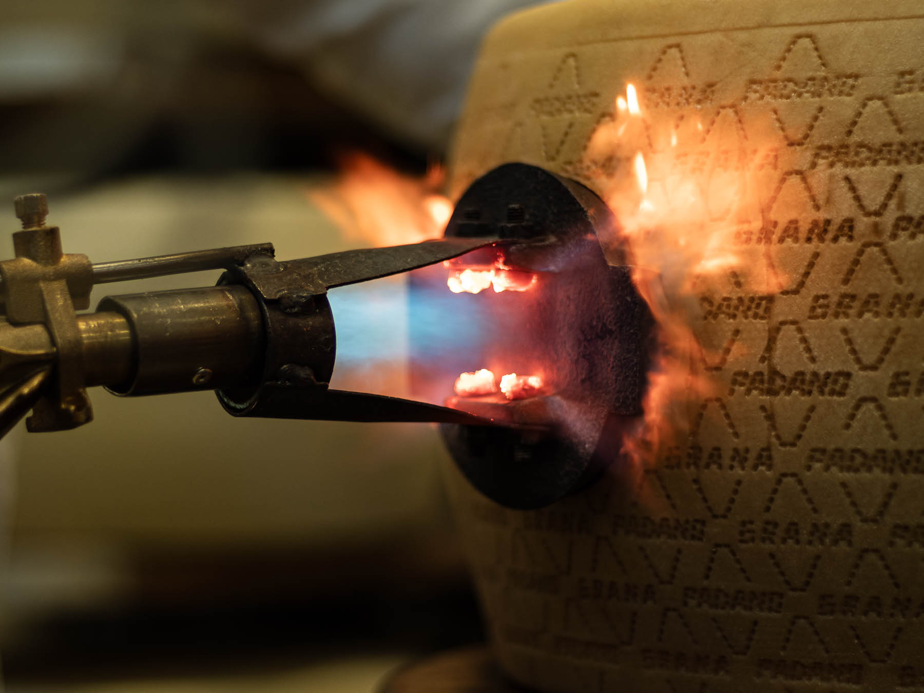 Foto_finali_Mostra-22