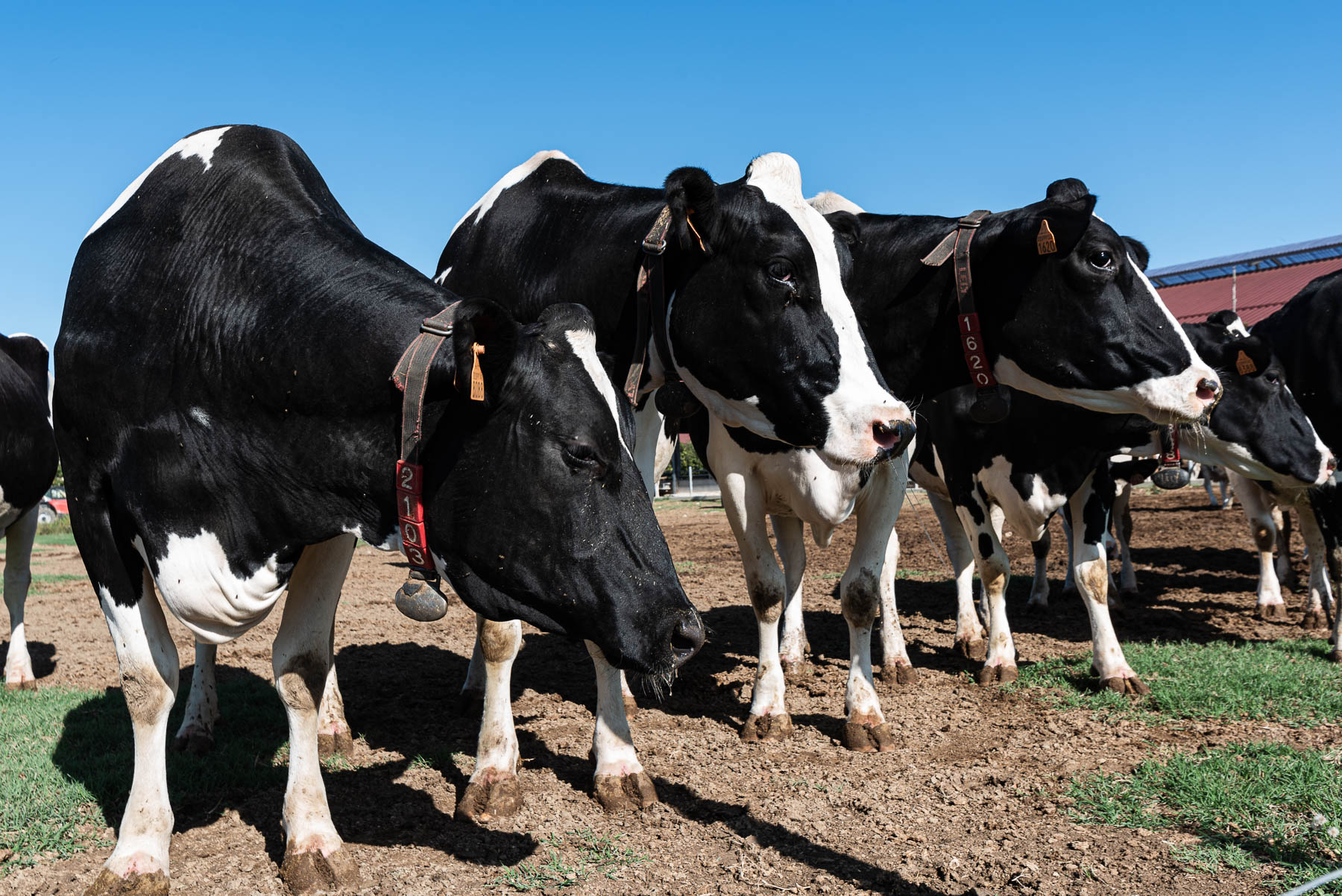 Foto_finali_Mostra-5