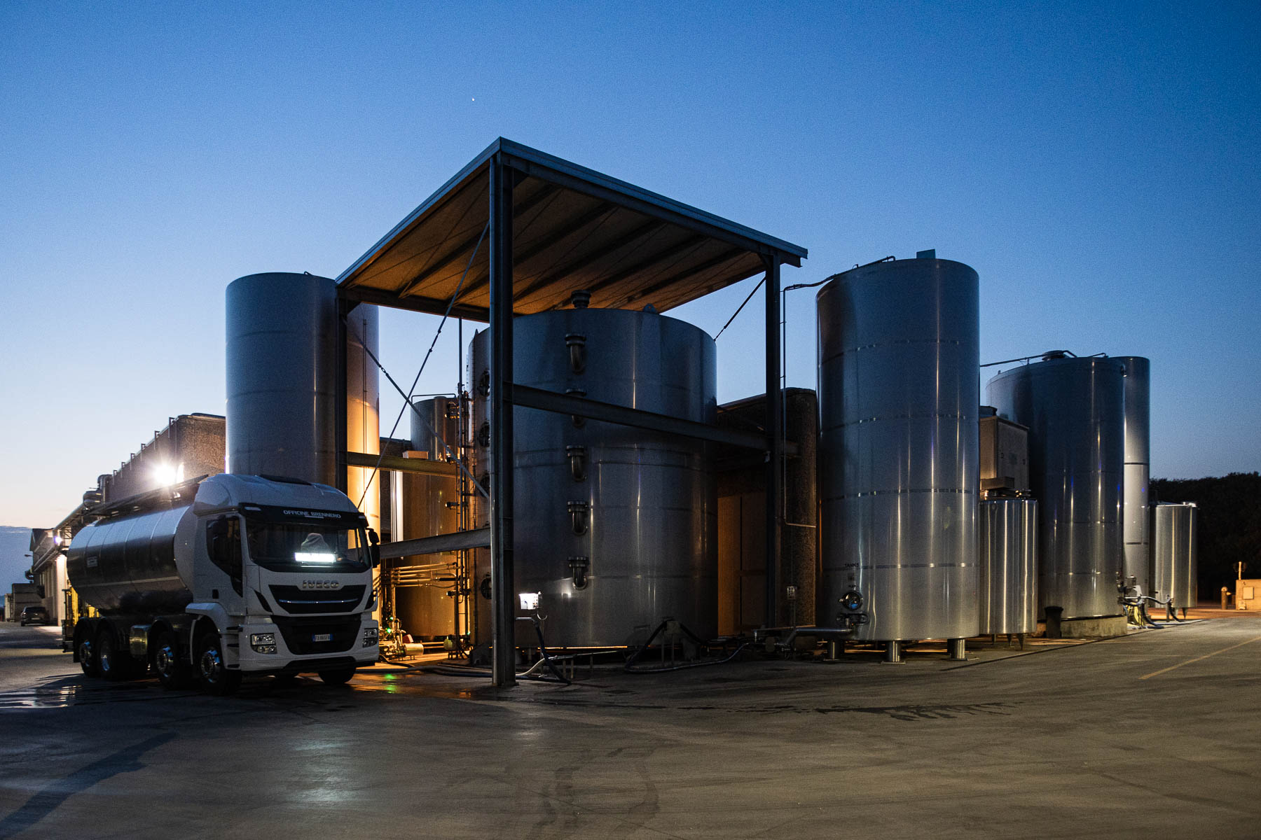 Foto_finali_Mostra-6