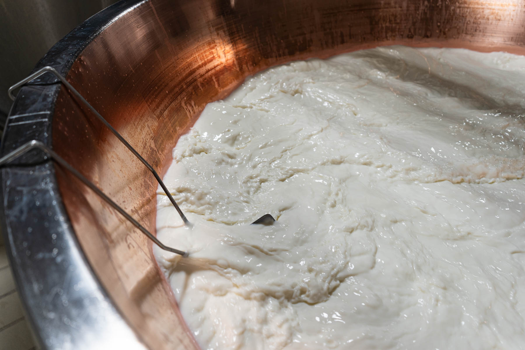 Foto_finali_Mostra-8