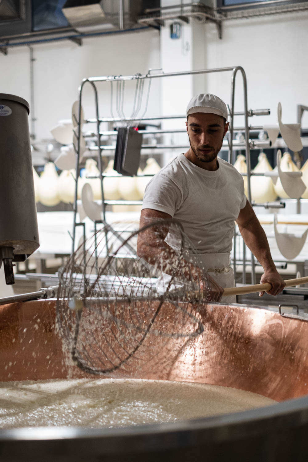 Foto_finali_Mostra-9